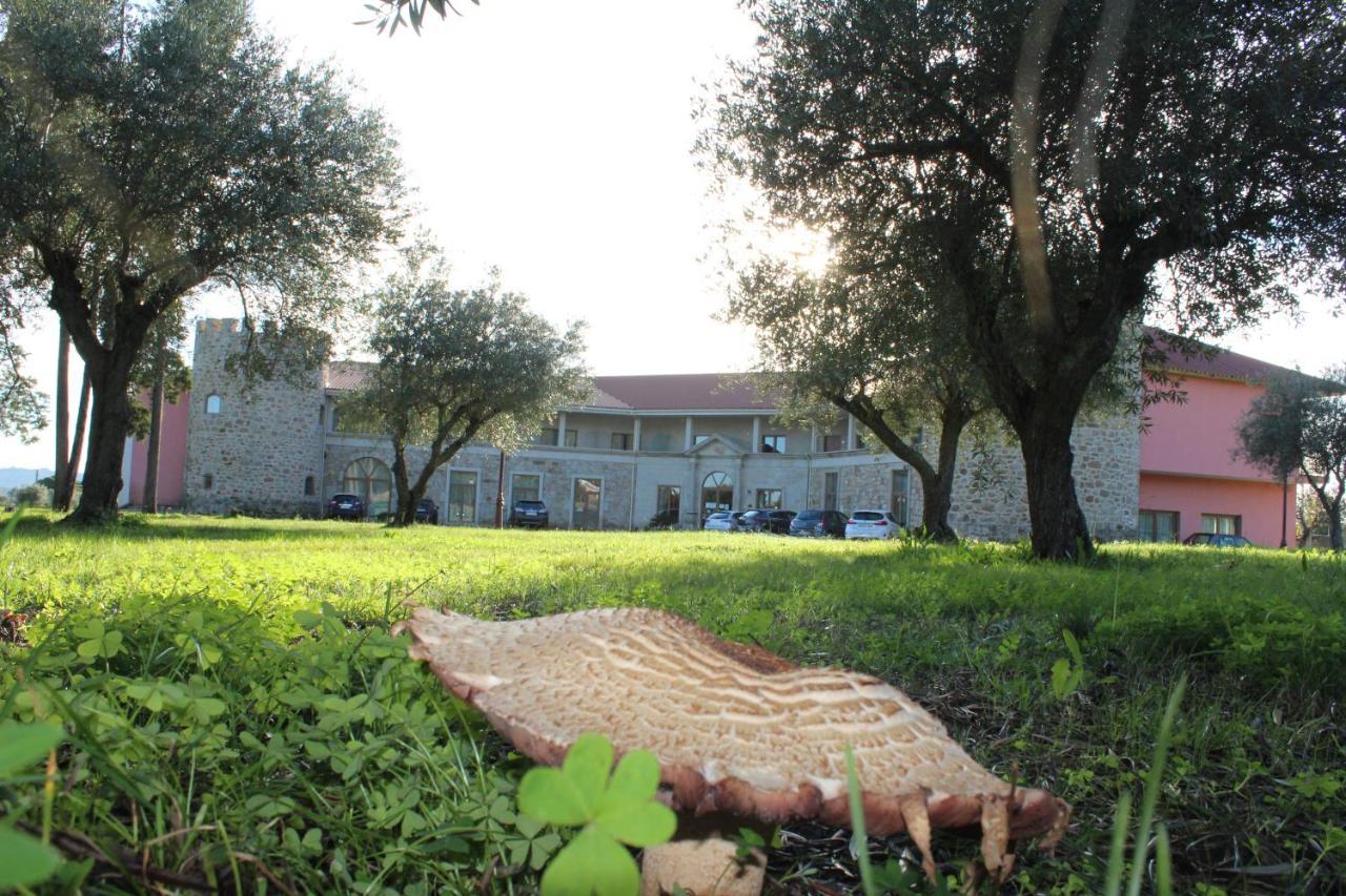 Palace Hotel & Spa Termas De Sao Tiago Penamacor Eksteriør bilde